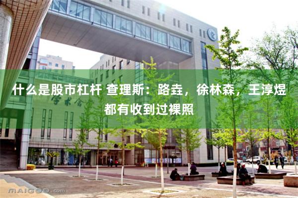 什么是股市杠杆 查理斯：路垚，徐林森，王淳煜都有收到过裸照