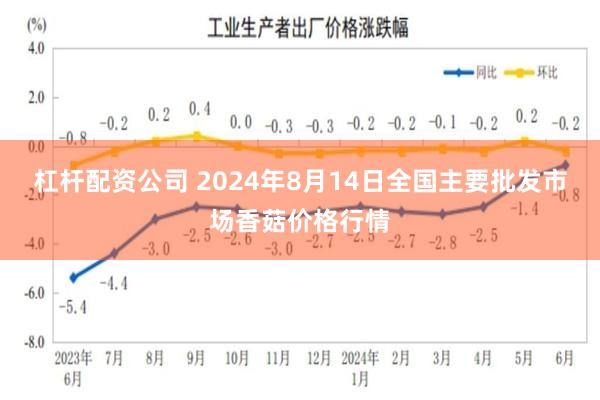 杠杆配资公司 2024年8月14日全国主要批发市场香菇价格行情