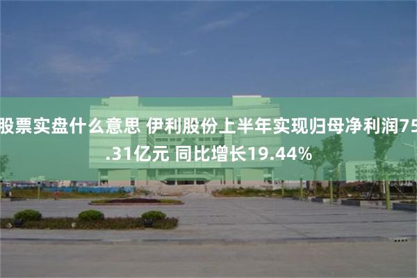 股票实盘什么意思 伊利股份上半年实现归母净利润75.31亿元 同比增长19.44%