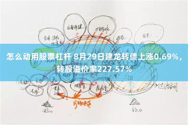 怎么动用股票杠杆 8月29日建龙转债上涨0.69%，转股溢价率227.57%