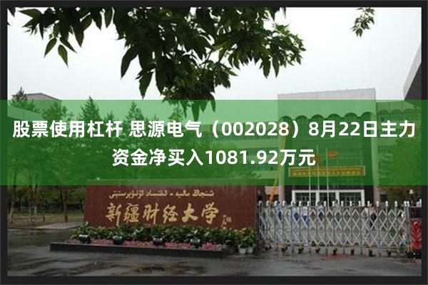 股票使用杠杆 思源电气（002028）8月22日主力资金净买入1081.92万元