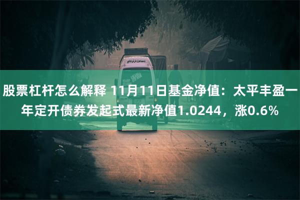 股票杠杆怎么解释 11月11日基金净值：太平丰盈一年定开债券发起式最新净值1.0244，涨0.6%