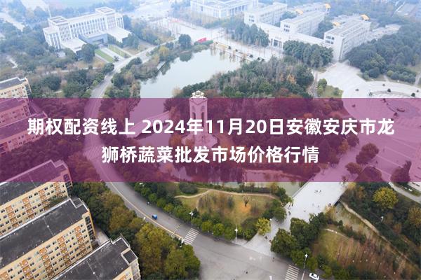 期权配资线上 2024年11月20日安徽安庆市龙狮桥蔬菜批发市场价格行情