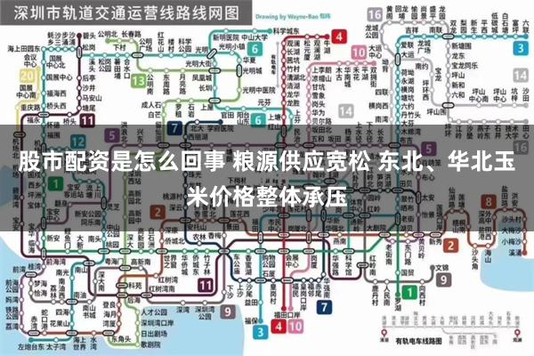 股市配资是怎么回事 粮源供应宽松 东北、华北玉米价格整体承压