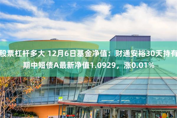 股票杠杆多大 12月6日基金净值：财通安裕30天持有期中短债A最新净值1.0929，涨0.01%