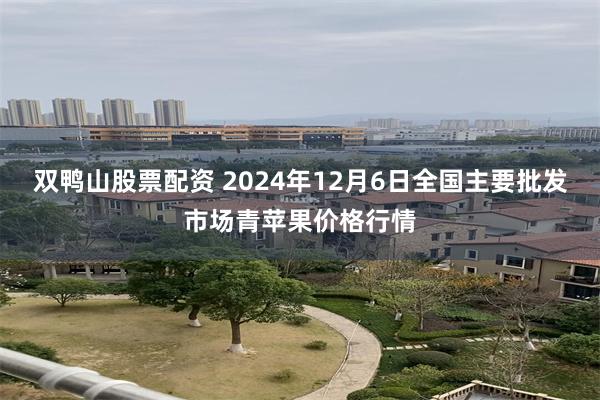 双鸭山股票配资 2024年12月6日全国主要批发市场青苹果价格行情