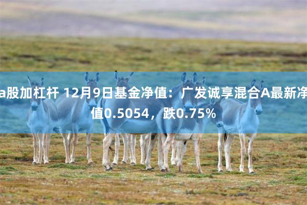 a股加杠杆 12月9日基金净值：广发诚享混合A最新净值0.5054，跌0.75%