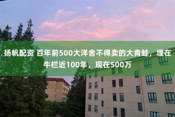 扬帆配资 百年前500大洋舍不得卖的大青蛙，埋在牛栏近100年，现在500万