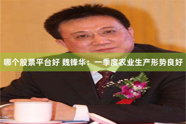 哪个股票平台好 魏锋华：一季度农业生产形势良好